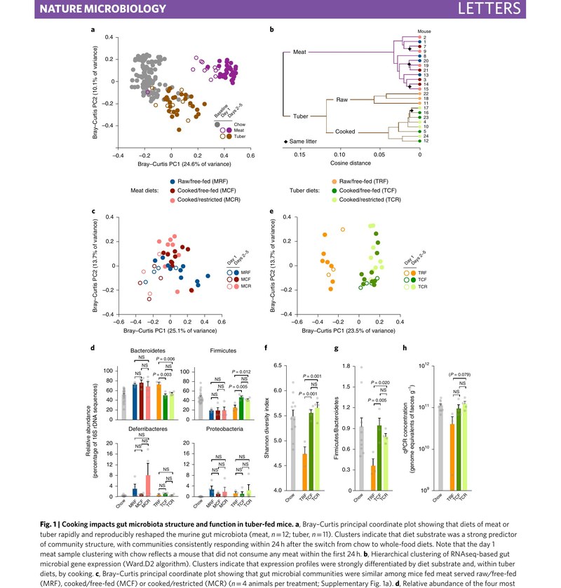 Figure 1 from Carmody et al. 2019