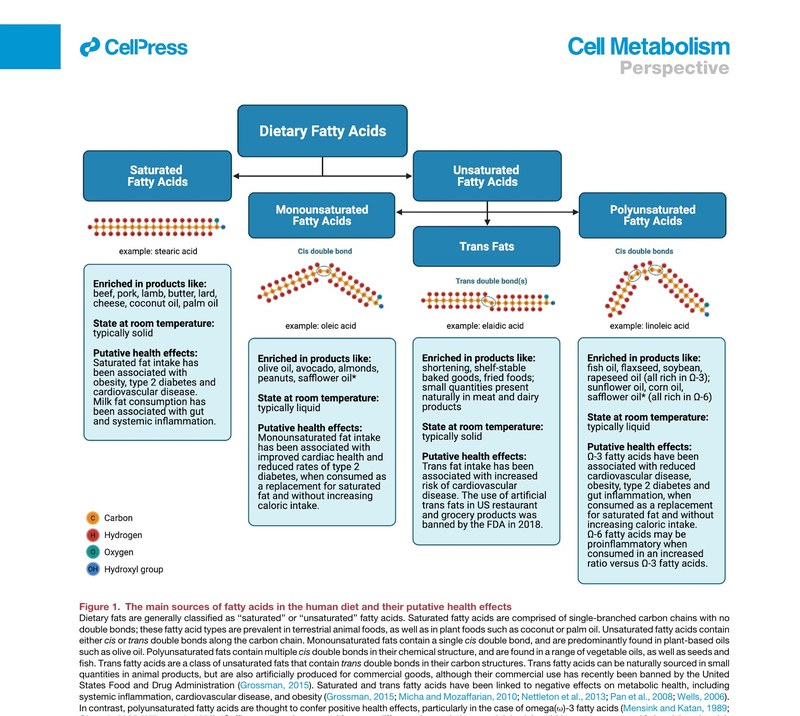 Figure 1 from Chadaideh & Carmody 2021