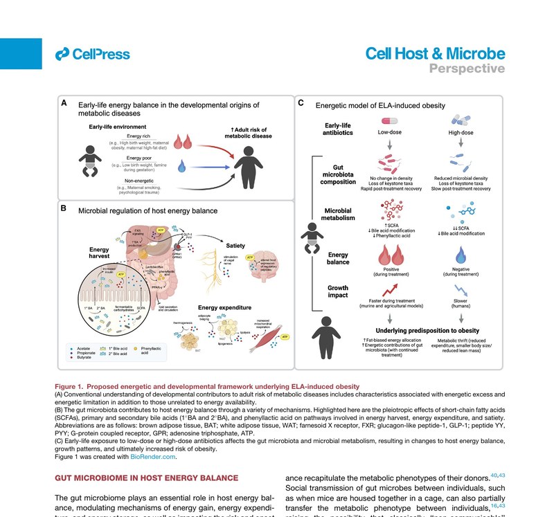 Figure 1 from Schell & Carmody 2025