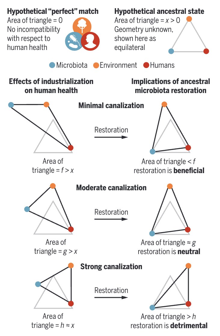 Figure 1 from Carmody, Sarkar & Reese 2021