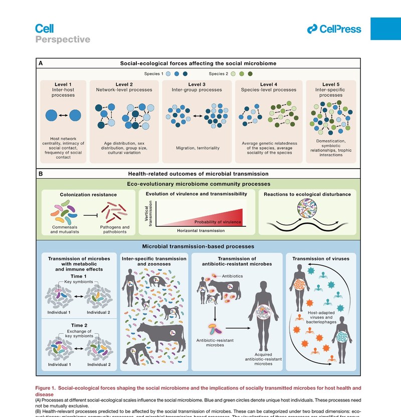 Figure 1 from Sarkar et al. 2024