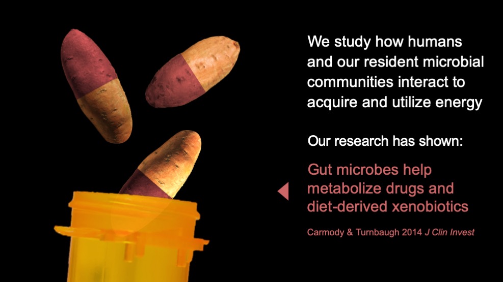 Carmody Lab research