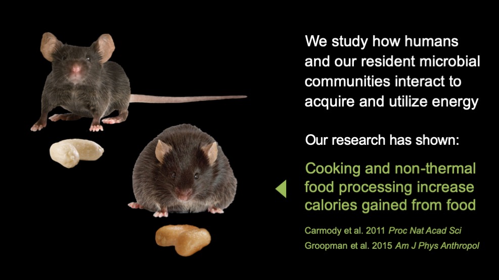 Carmody Lab research