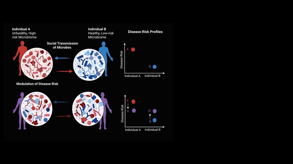 Carmody Lab research – socially transmissible gut microbes